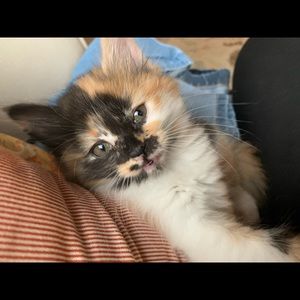 Meet your Posher, Anita